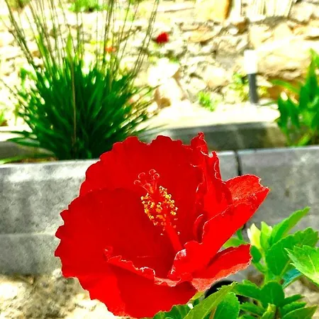 ヴィラ Margarita Valle de Santa Inés