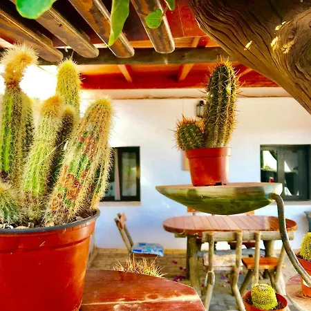 Margarita *
