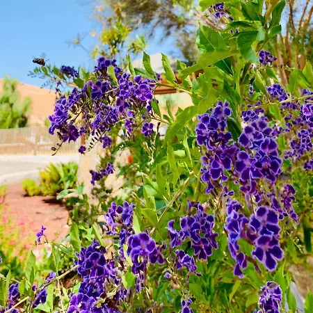 Margarita Βίλα Valle de Santa Inés