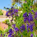 Margarita Βίλα Valle de Santa Inés