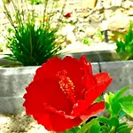 Βίλα Margarita Valle de Santa Inés