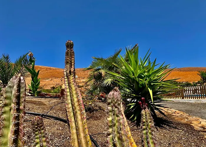 Margarita Villa Valle de Santa Inés