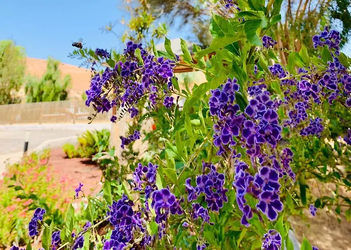 Margarita Villa Valle de Santa Inés
